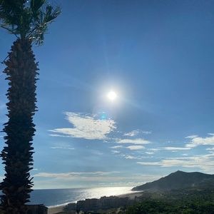 Meet your Posher, Shay